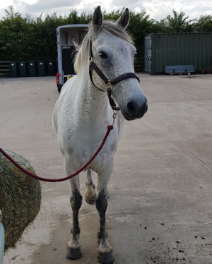 1727160750977.png 1727160750977.png