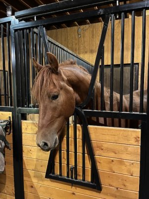 IMG_2612.jpeg IMG_2612.jpeg