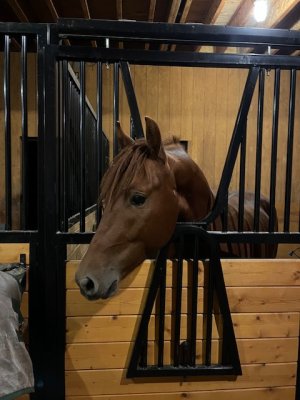 IMG_2607.jpeg IMG_2607.jpeg