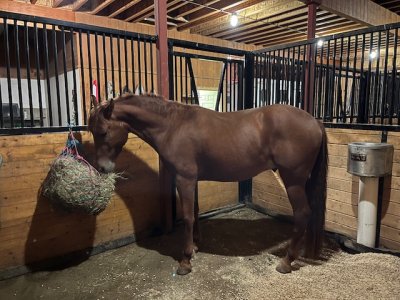 IMG_2603.jpeg IMG_2603.jpeg