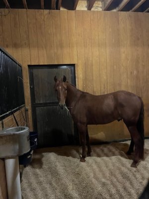 IMG_2590.jpeg IMG_2590.jpeg