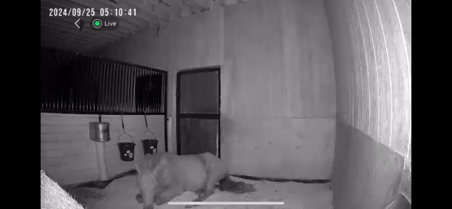 IMG_2639.png IMG_2639.png