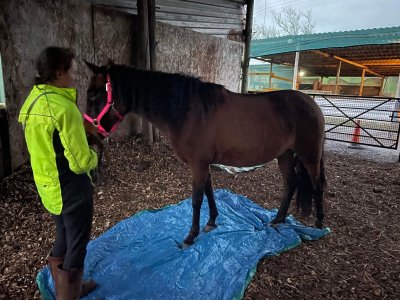 IMG_0951 2.JPG IMG_0951 2.JPG