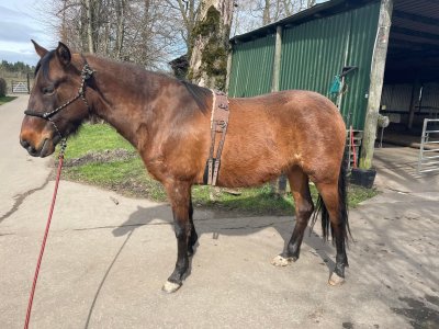 277579500_10101012343746915_3978118068509542933_n.jpg 277579500_10101012343746915_3978118068509542933_n.jpg