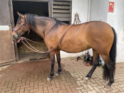 IMG_2794.JPG IMG_2794.JPG