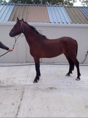 IMG_2637.jpeg IMG_2637.jpeg