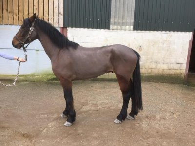 IMG_8714.jpeg IMG_8714.jpeg