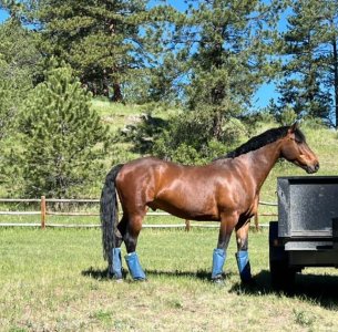 IMG_2640.jpeg IMG_2640.jpeg