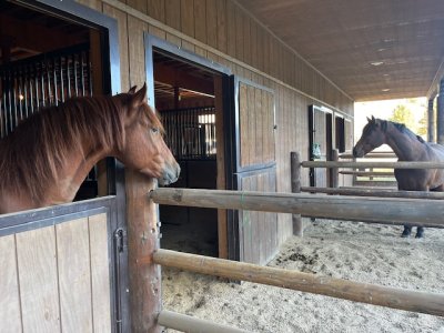 IMG_2656.jpeg IMG_2656.jpeg