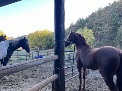 IMG_2663.jpeg IMG_2663.jpeg