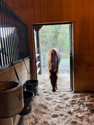 IMG_2661.jpeg IMG_2661.jpeg