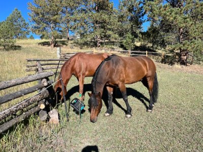 IMG_2675.jpeg IMG_2675.jpeg