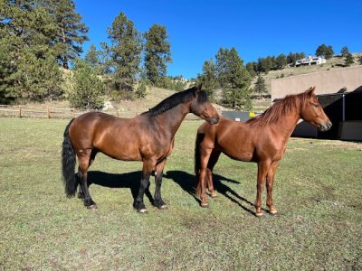 IMG_2702.jpeg IMG_2702.jpeg