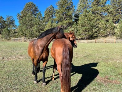 IMG_2707.jpeg IMG_2707.jpeg