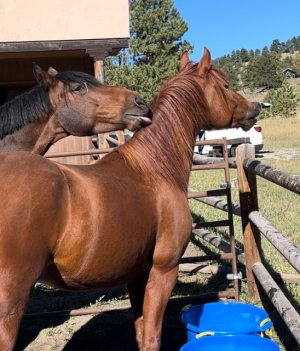 IMG_2746.jpeg IMG_2746.jpeg