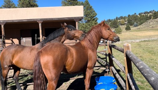 IMG_2753.jpeg IMG_2753.jpeg