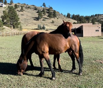 IMG_2750.jpeg IMG_2750.jpeg