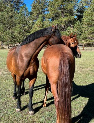 IMG_2751.jpeg IMG_2751.jpeg