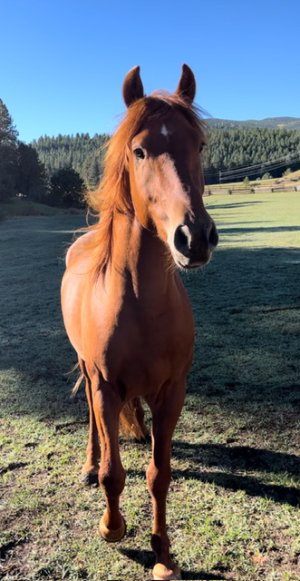 IMG_2752.jpeg IMG_2752.jpeg