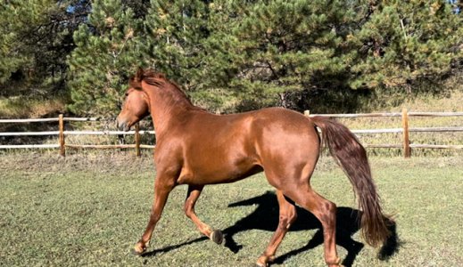 IMG_2755.jpeg IMG_2755.jpeg