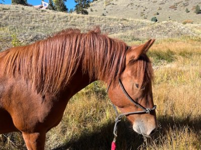 IMG_2780.jpeg IMG_2780.jpeg