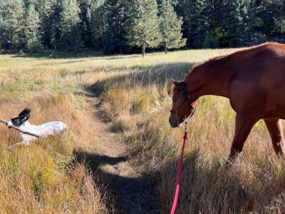 IMG_2773.jpeg IMG_2773.jpeg