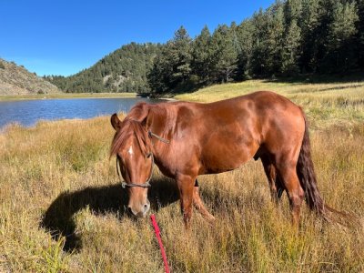 IMG_2770.jpeg IMG_2770.jpeg