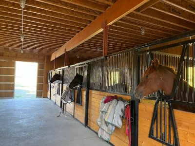 IMG_2782.jpeg IMG_2782.jpeg