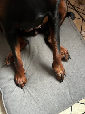 IMG_4578.jpeg IMG_4578.jpeg