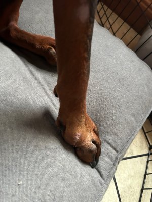 IMG_4575.jpeg IMG_4575.jpeg