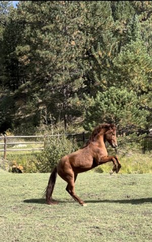 IMG_2866.jpeg IMG_2866.jpeg