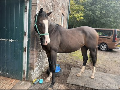 IMG_5373.jpeg IMG_5373.jpeg