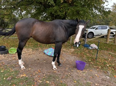 IMG_5374.jpeg IMG_5374.jpeg