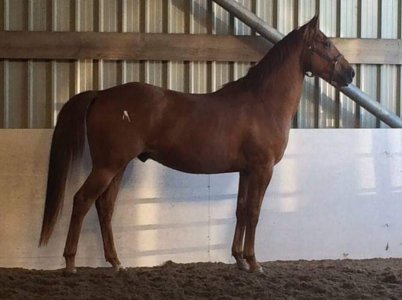 Screenshot_20240927_192119_Facebook.jpg Screenshot_20240927_192119_Facebook.jpg