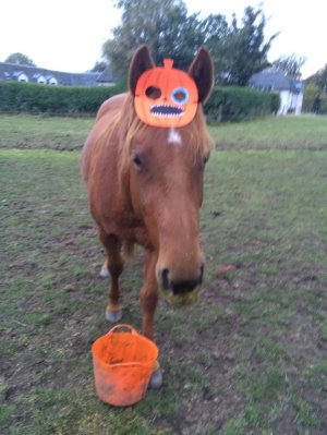 Screenshot_20240927_192036_Facebook.jpg Screenshot_20240927_192036_Facebook.jpg