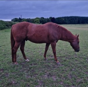 Screenshot_20240927_192213_Facebook.jpg Screenshot_20240927_192213_Facebook.jpg