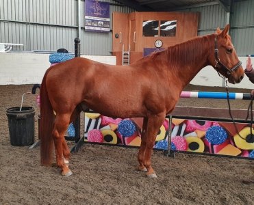 Screenshot_20240927_192823_Gallery.jpg Screenshot_20240927_192823_Gallery.jpg