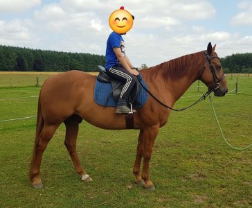 Screenshot_20240927_193406_Gallery.jpg Screenshot_20240927_193406_Gallery.jpg