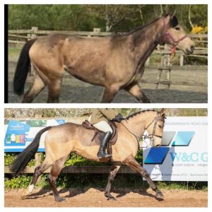 a25ccf07-696c-4936-92a2-60009257a384.jpeg a25ccf07-696c-4936-92a2-60009257a384.jpeg