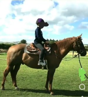 Screenshot_20240927_194216_Facebook.jpg Screenshot_20240927_194216_Facebook.jpg