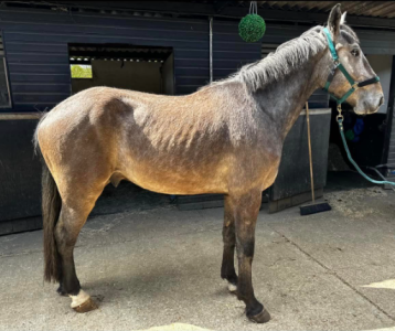 1727465131817.png 1727465131817.png