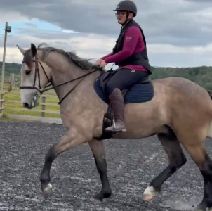 1727465192535.png 1727465192535.png