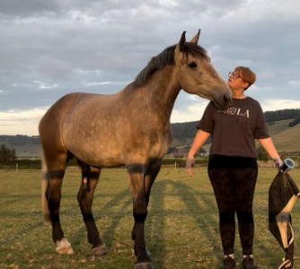 1727465222062.png 1727465222062.png