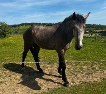 1727465298914.png 1727465298914.png