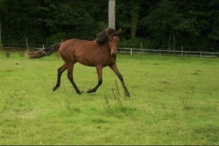 Screenshot_20240927_203604_Gallery.jpg Screenshot_20240927_203604_Gallery.jpg