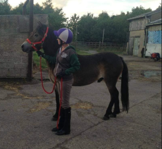 1727467413907.png 1727467413907.png