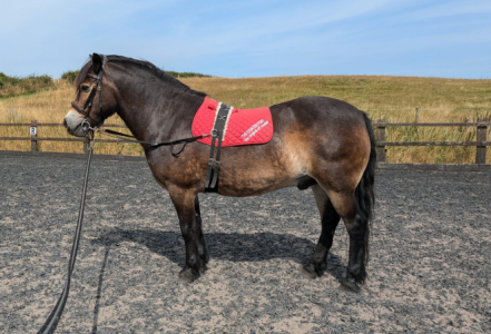 1727467460757.png 1727467460757.png