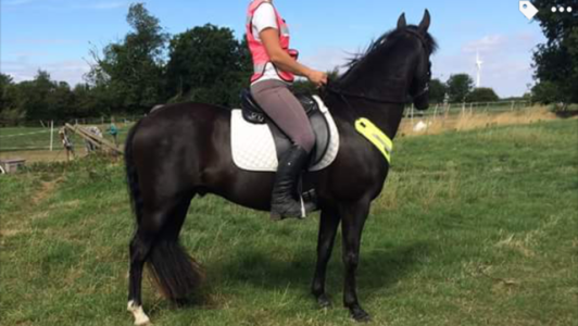 IMG_7621.png IMG_7621.png