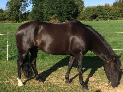 IMG_5548.jpeg IMG_5548.jpeg