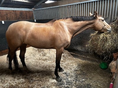 IMG_1055.jpeg IMG_1055.jpeg